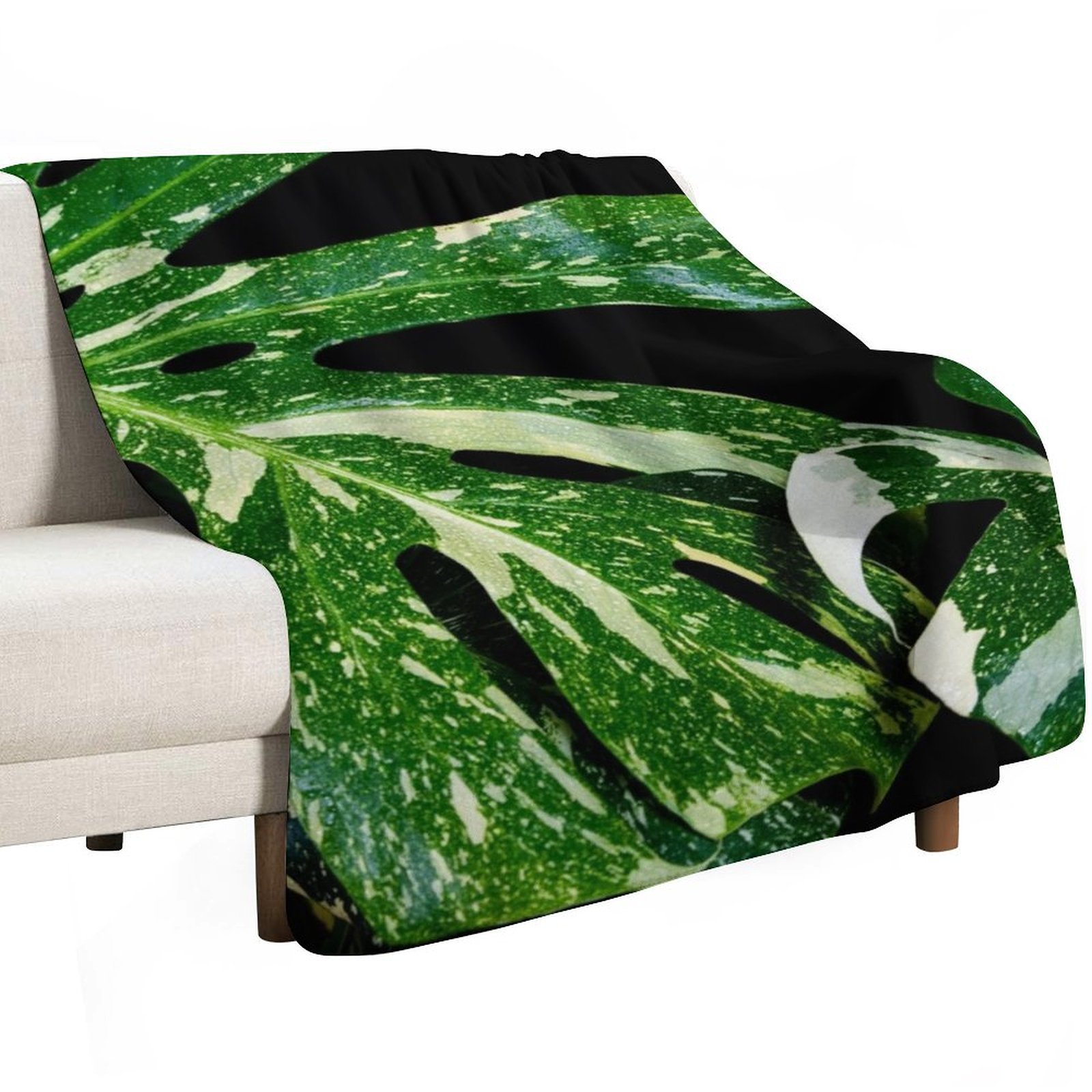 Monstera Thai Constellation Th - Monstera Thai Constellation recension och pris