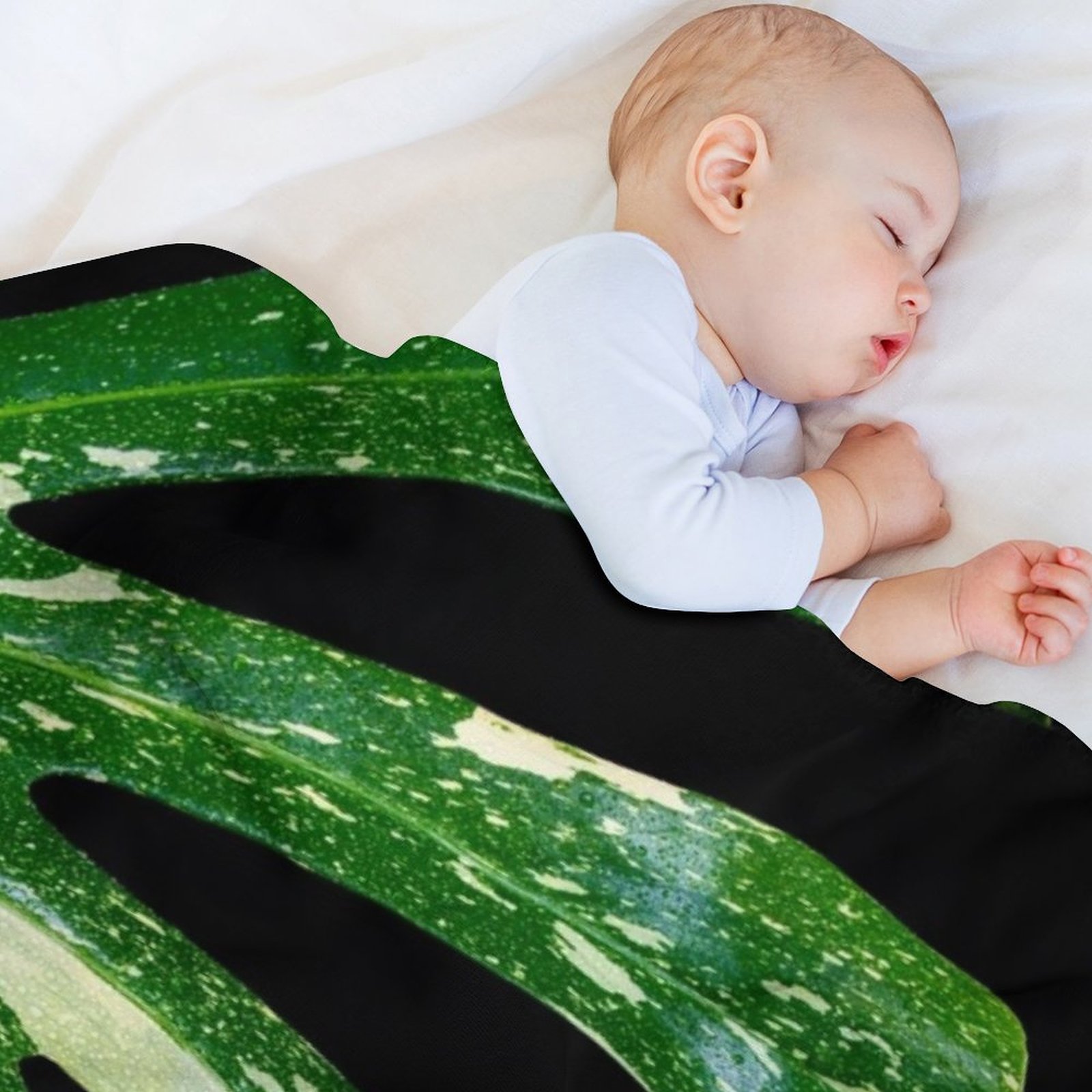 Monstera Thai Constellation Th - Monstera Thai Constellation recension och pris