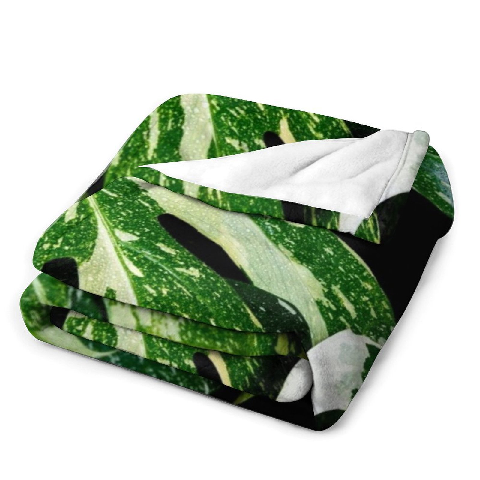Monstera Thai Constellation Th - Monstera Thai Constellation recension och pris