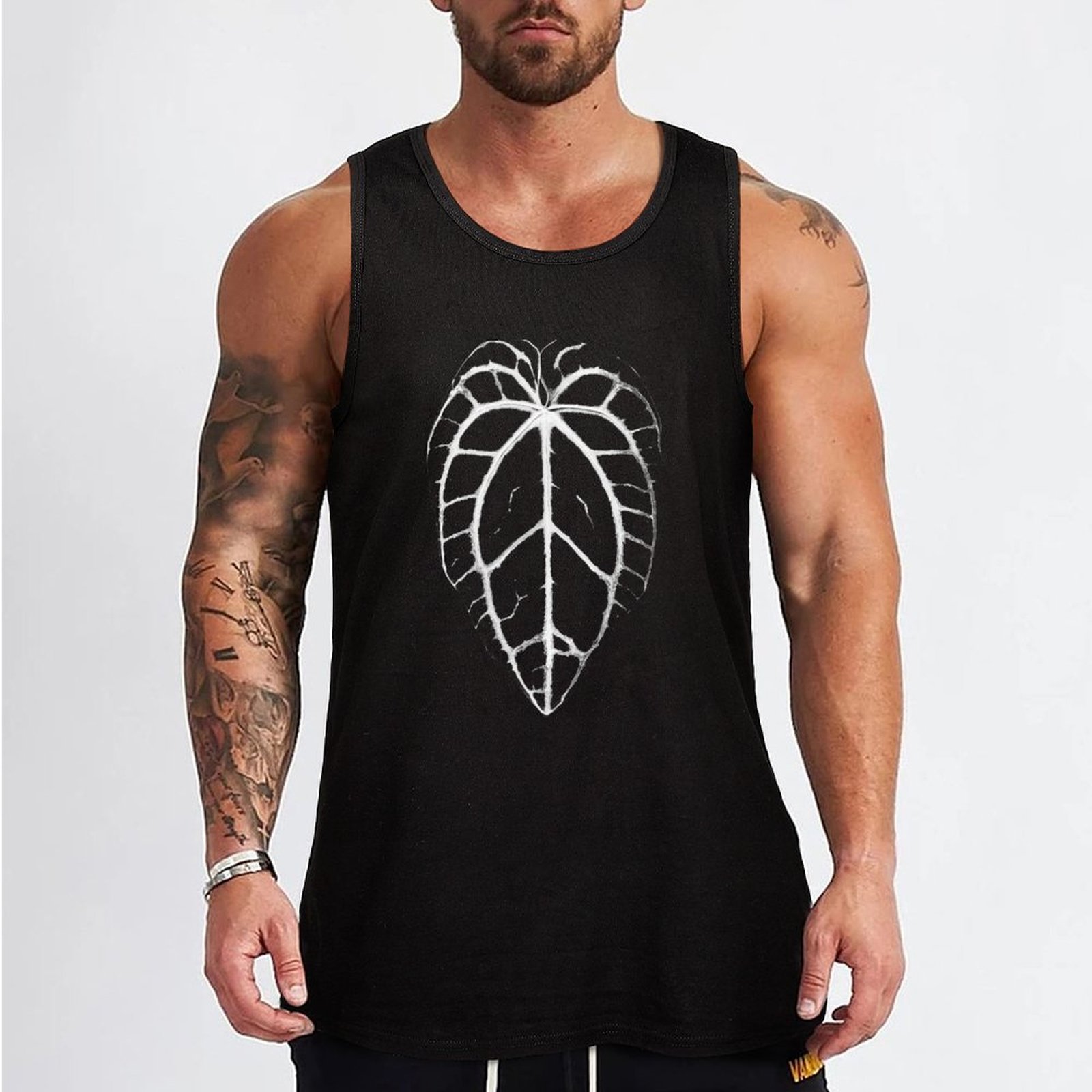 ANTHURIUM CRYSTALLINUM VEINS T - Anthurium Crystallinum recension och pris
