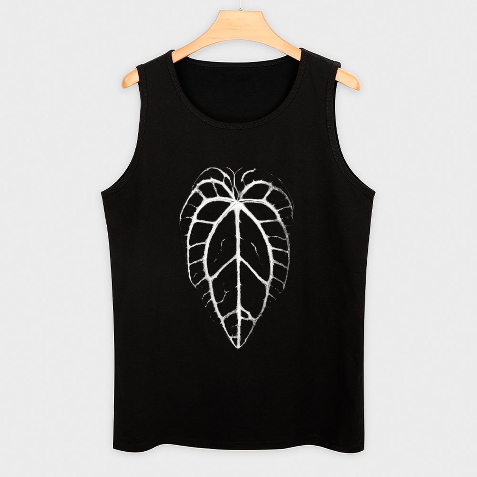 ANTHURIUM CRYSTALLINUM VEINS T - Anthurium Crystallinum recension och pris