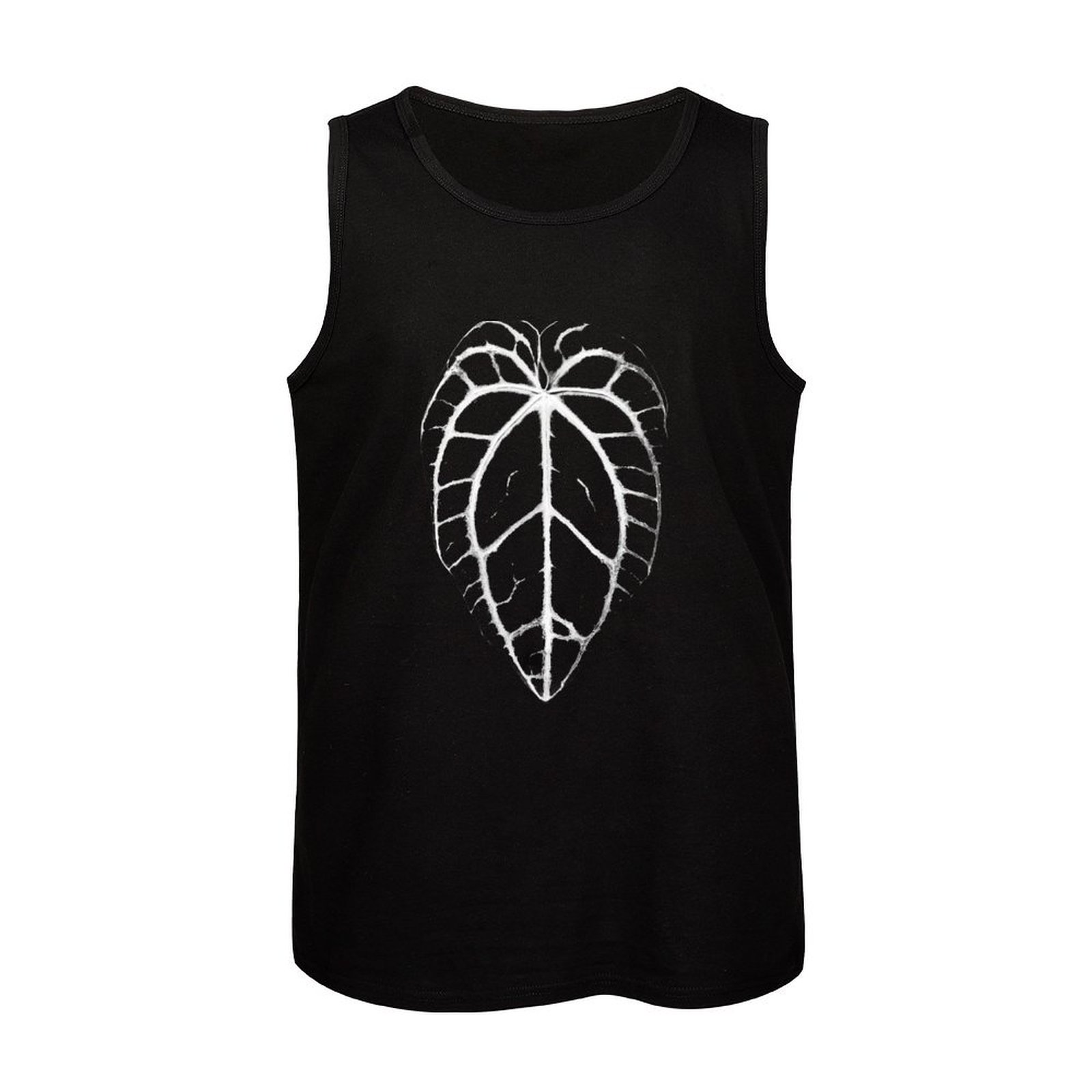 ANTHURIUM CRYSTALLINUM VEINS T - Anthurium Crystallinum recension och pris