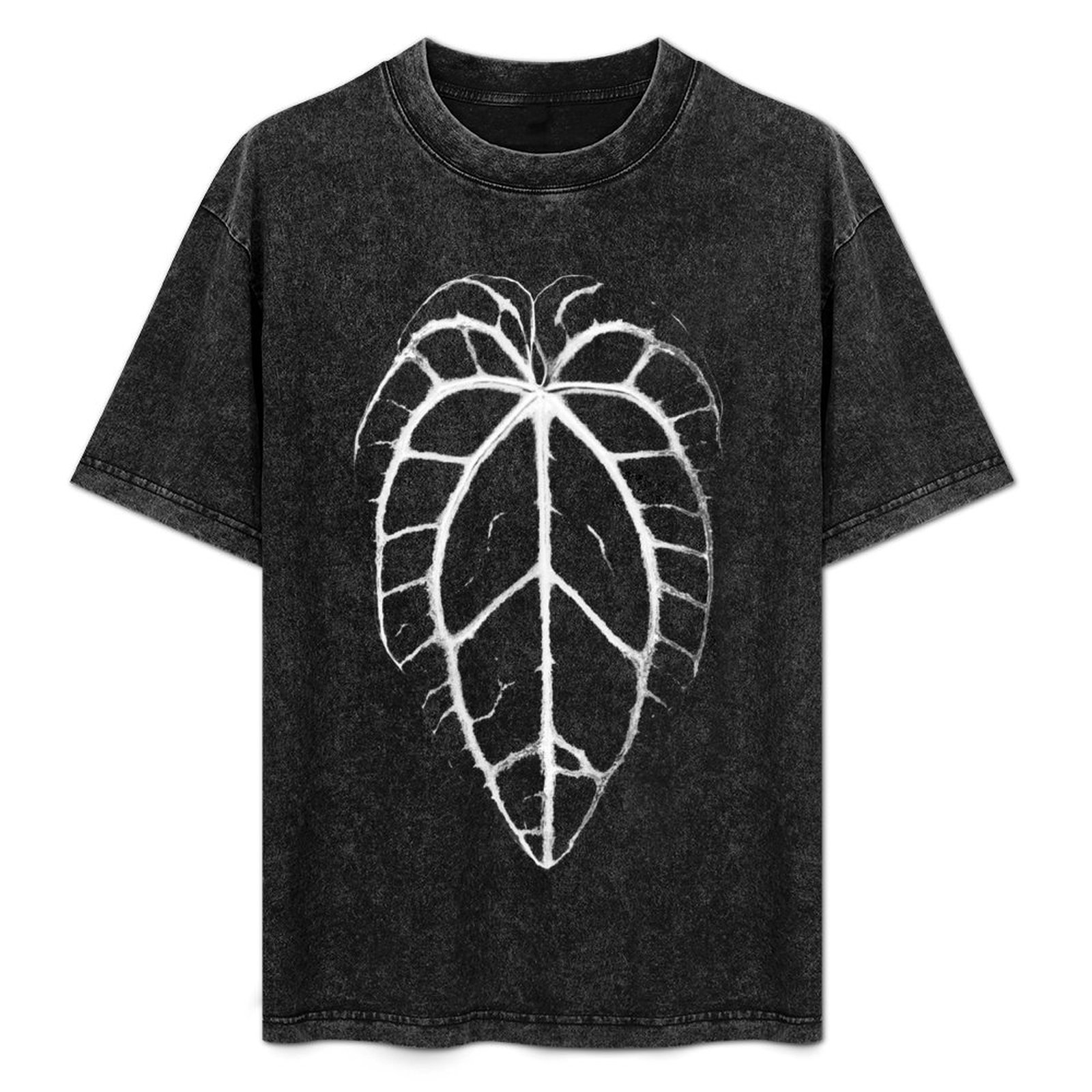 ANTHURIUM CRYSTALLINUM VEINS T - Anthurium Crystallinum recension och pris