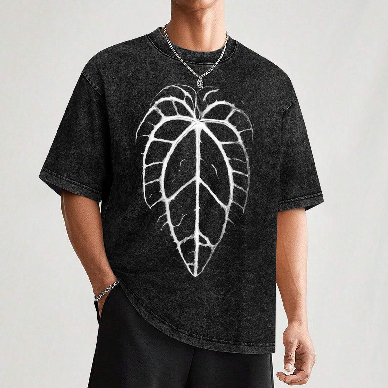ANTHURIUM CRYSTALLINUM VEINS T - Anthurium Crystallinum recension och pris