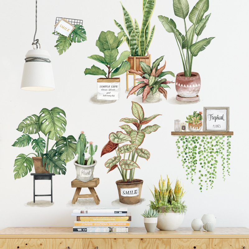 Watercolor Tropical Green Plan - String Of Pearls Plant recension och pris