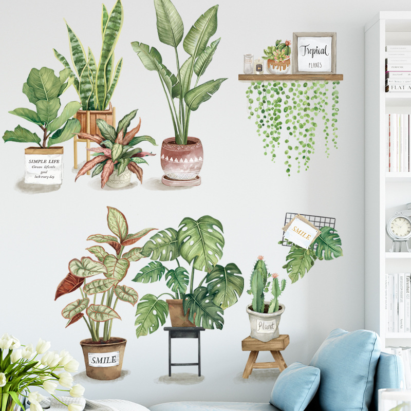 Watercolor Tropical Green Plan - String Of Pearls Plant recension och pris