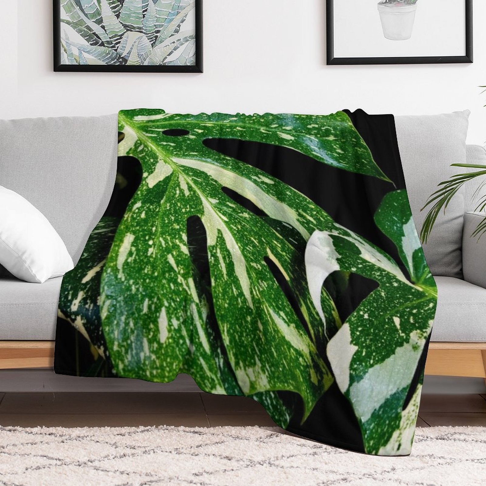 Monstera Thai Constellation Th - Monstera Thai Constellation recension och pris